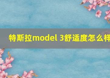 特斯拉model 3舒适度怎么样